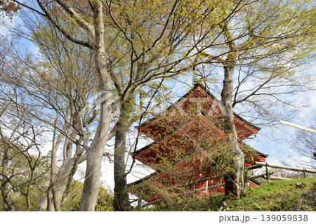 三重宝塔(岡寺) 【奈良県高市郡明日香村】 三重宝塔(岡寺) 【奈良県高市郡明日香村】 139059838