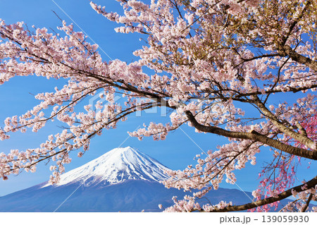 日本の春　富士山と桜 139059930