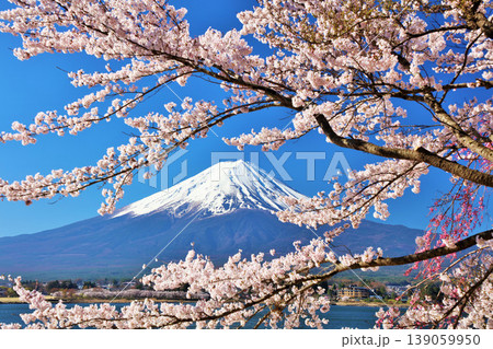 日本の春 富士山と桜 日本の春 富士山と桜 139059950
