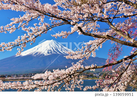 日本の春 富士山と桜 日本の春 富士山と桜 139059951