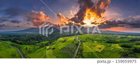 Beautiful morning view in Indonesia, panoramic landscape of rice fields with mountain ranges and clear sky 139059975