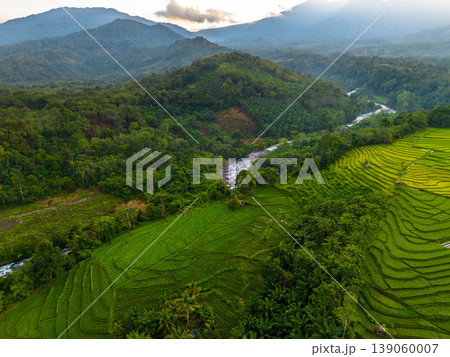 Beautiful morning view in Indonesia, panoramic landscape of rice fields with mountain ranges and clear sky 139060007