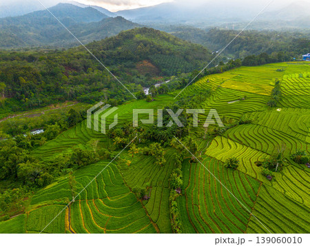 Beautiful morning view in Indonesia, panoramic landscape of rice fields with mountain ranges and clear sky 139060010
