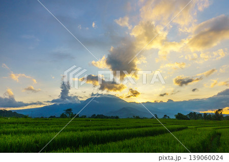 Beautiful morning view in Indonesia, panoramic landscape of rice fields with mountain ranges and clear sky Beautiful morning view in Indonesia, panoramic landscape of rice fields with mountain ranges and clear sky 139060024