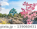 名古屋城天守と満開の桜 139060431