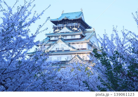大阪城公園　大阪城　内堀　外堀　大阪市中央区　大阪城公園駅　西の丸庭園　森ノ宮駅　谷町四丁目駅 139061123