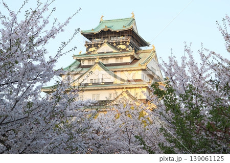 大阪城公園　大阪城　内堀　外堀　大阪市中央区　大阪城公園駅　西の丸庭園　森ノ宮駅　谷町四丁目駅 139061125