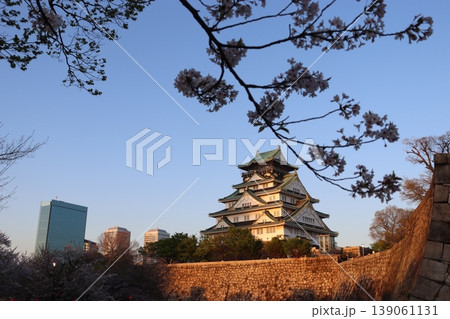 大阪城公園　大阪城　内堀　外堀　大阪市中央区　大阪城公園駅　西の丸庭園　森ノ宮駅　谷町四丁目駅 139061131
