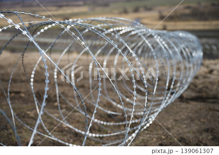 Barbed wire barrier in field defensive military line 139061307