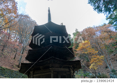 安楽寺 安楽寺 139061414