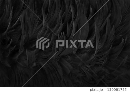 Beautiful black grey bird feathers pattern texture background. Beautiful black grey bird feathers pattern texture background. 139061735