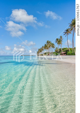 Tropical paradise beach Maldives famous ocean lagoon palm trees white sand luxury summer destination scenic travel nature island turquoise shore Tropical paradise beach Maldives famous ocean lagoon palm trees white sand luxury summer destination scenic travel nature island turquoise shore 139061767