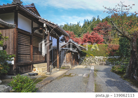 Brilliant Autumn Maple Leaves in Sakamoto Shiga Japan Nov 27 2025 139062113