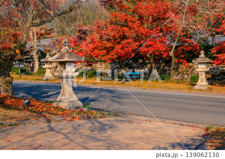 Serene Sakamoto Autumn Landscape with Vibrant Maple Trees Nov 27 2025 139062130