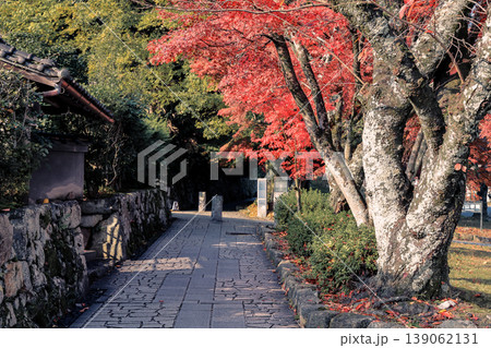 Serene Sakamoto Autumn Landscape with Vibrant Maple Trees Nov 27 2025 Serene Sakamoto Autumn Landscape with Vibrant Maple Trees Nov 27 2025 139062131