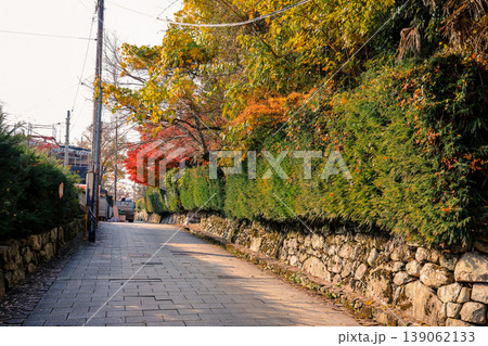 Serene Sakamoto Autumn Landscape with Vibrant Maple Trees Nov 27 2025 Serene Sakamoto Autumn Landscape with Vibrant Maple Trees Nov 27 2025 139062133