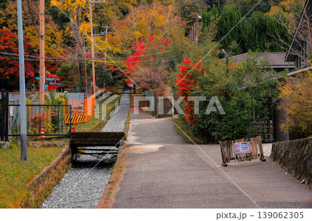 Red Maple At Nanzenji Temple Kyoto Japan Autumn Nov 26 2025 139062305