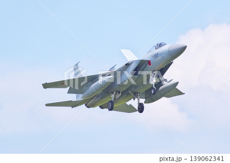 着陸態勢の第303飛行隊のF-15J 139062341