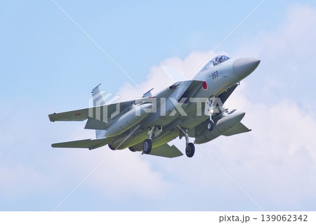 着陸態勢の第303飛行隊のF-15J 着陸態勢の第303飛行隊のF-15J 139062342