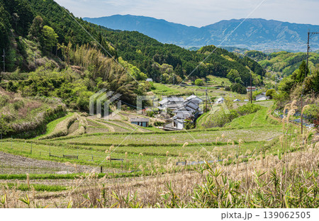 明日香村の春の棚田風景　奈良県高市郡 139062505