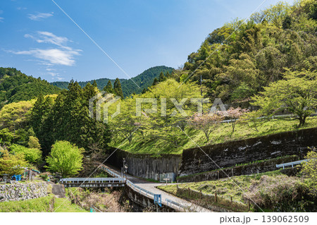 明日香村上(かむら)地区春の里山風景 奈良県高市郡 明日香村上(かむら)地区春の里山風景 奈良県高市郡 139062509