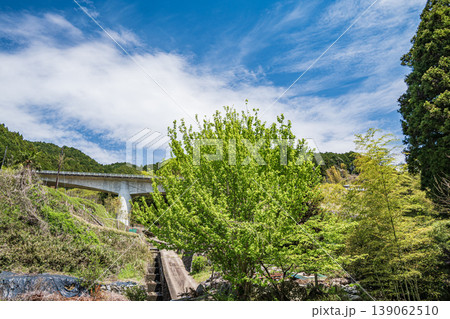 明日香村上(かむら)地区春の里山風景 奈良県高市郡 明日香村上(かむら)地区春の里山風景 奈良県高市郡 139062510