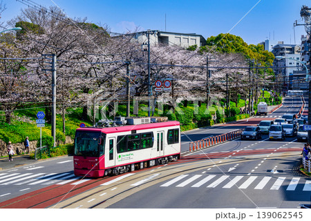 東京さくらトラム　トラムと飛鳥山公園満開の桜 139062545