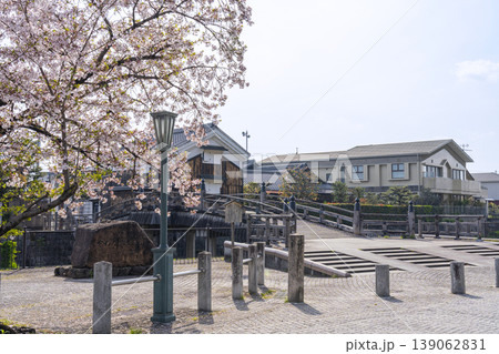 京都 八幡市 安居橋と桜 京都 八幡市 安居橋と桜 139062831