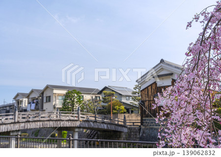 京都 八幡市 安居橋と桜 京都 八幡市 安居橋と桜 139062832