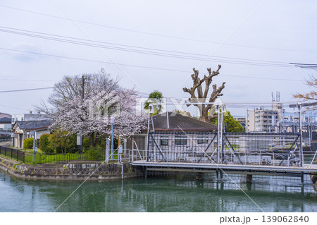 伏見インクライン跡周辺 桜景色 伏見インクライン跡周辺 桜景色 139062840