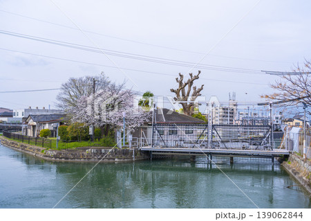 伏見インクライン跡周辺　桜景色 139062844