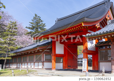 石清水八幡宮の頓宮 南門と桜 石清水八幡宮の頓宮 南門と桜 139062852