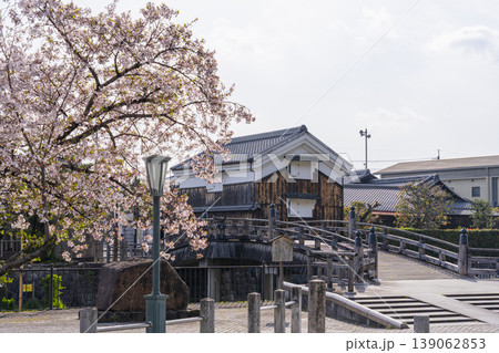 京都 八幡市 安居橋と桜 京都 八幡市 安居橋と桜 139062853