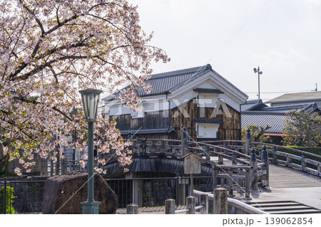 京都 八幡市 安居橋と桜 京都 八幡市 安居橋と桜 139062854