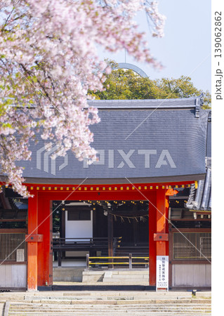 石清水八幡宮の頓宮 南門と桜 石清水八幡宮の頓宮 南門と桜 139062862