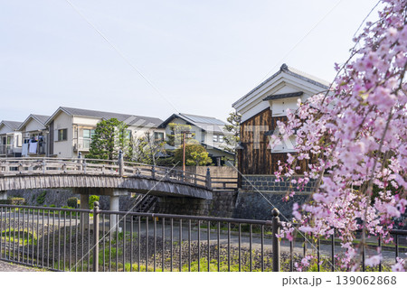 京都　八幡市　安居橋と桜 139062868