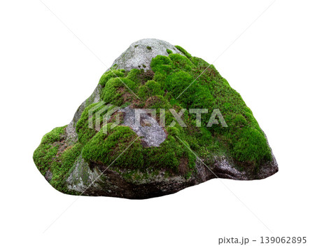 stone covered with moss isolated on white background stone covered with moss isolated on white background 139062895