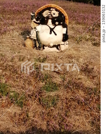日本の信楽焼が枯野にいる風景 139063132