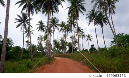 Exotic Siangau Beach Shore with Granite Stones and Palms Exotic Siangau Beach Shore with Granite Stones and Palms 139063158