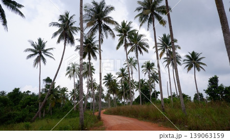 Giant Rocks and Coconut Trees on Tropical Island Coast Giant Rocks and Coconut Trees on Tropical Island Coast 139063159