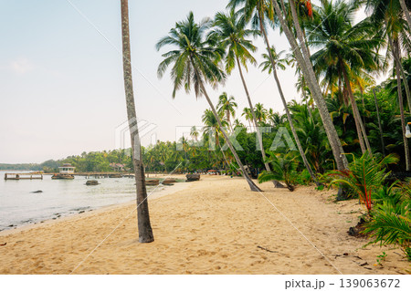 Sunny tropical coastline with tall coconut trees Sunny tropical coastline with tall coconut trees 139063672
