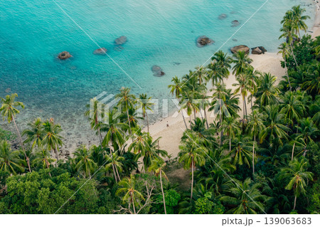 Aerial view of a beautiful tropical island coastline with clear turquoise water, white sand beach, and lush green palm trees. Aerial view of a beautiful tropical island coastline with clear turquoise water, white sand beach, and lush green palm trees. 139063683