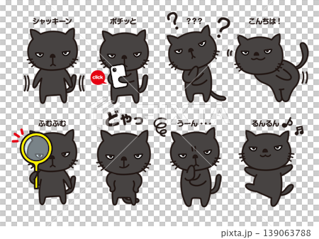 黒猫セット 黒猫セット 139063788