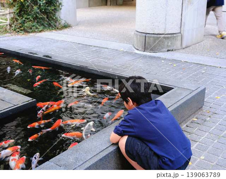 鯉の餌やりを楽しむ少年 鯉の餌やりを楽しむ少年 139063789