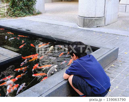 鯉の餌やりを楽しむ少年 鯉の餌やりを楽しむ少年 139063790