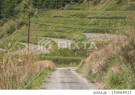 明日香村上(かむら)地区春の棚田風景 奈良県高市郡 明日香村上(かむら)地区春の棚田風景 奈良県高市郡 139064015