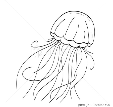 Elegant jellyfish with long tentacles line art for wellness branding on a transparent background 139064390
