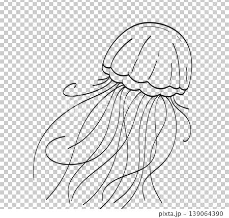 Elegant jellyfish with long tentacles line art for wellness branding on a transparent background 139064390