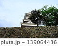 大洲市大洲城の石垣 139064436