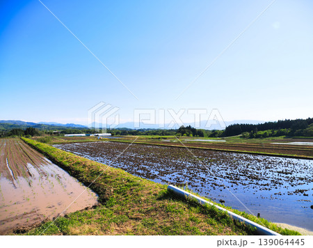 代搔きをした広い水田の風景 139064445